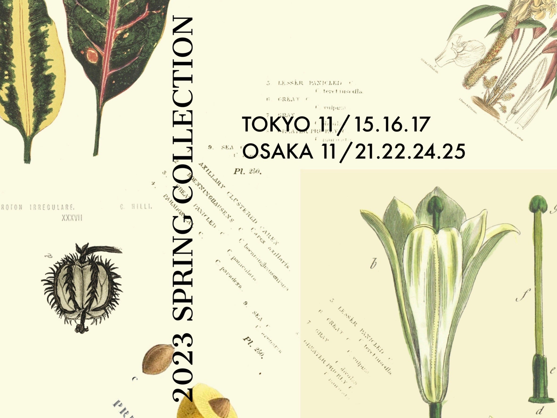 2022 11月展示会のお知らせ <関係者各位の皆様>